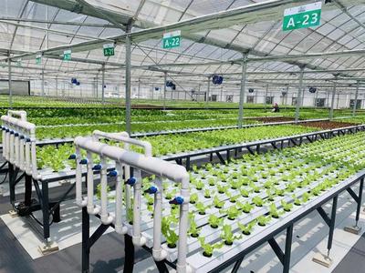 補貼上百萬!數字農業工廠:智能化、自動化的農業生產新模式