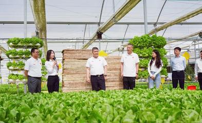 服務三農 助力鄉村振興 河南日報社南陽分社黨支部聯合內鄉縣中以高效農業科技開發黨支部開展主題黨日活動