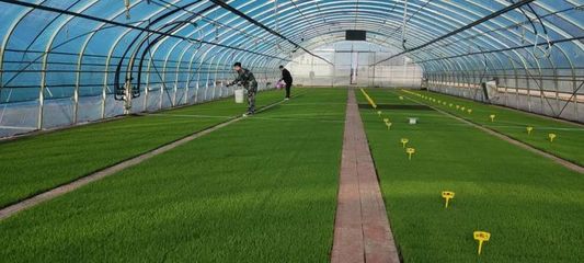 稼穡篤行|前進(jìn)農(nóng)場(chǎng)農(nóng)業(yè)科技服務(wù)中心