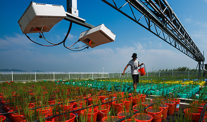 江蘇南京國家農(nóng)業(yè)高新技術(shù)產(chǎn)業(yè)示范區(qū)