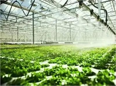 泰州市將用三年構建1700億農業全產業鏈