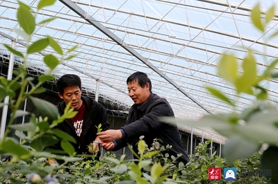 東港區科技局 紅色科技特派員成群眾致富‘鋪路人’
