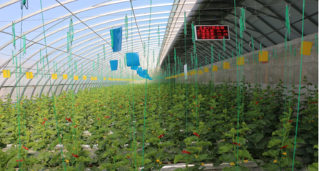 聚焦農業(yè)科技服務 助推現代農業(yè)發(fā)展的關鍵引擎